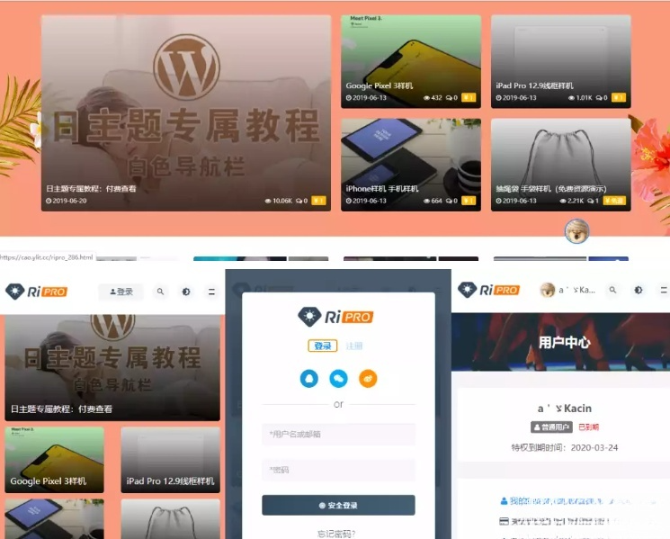 RiPro主题V8.7 WordPress资源付费站源码