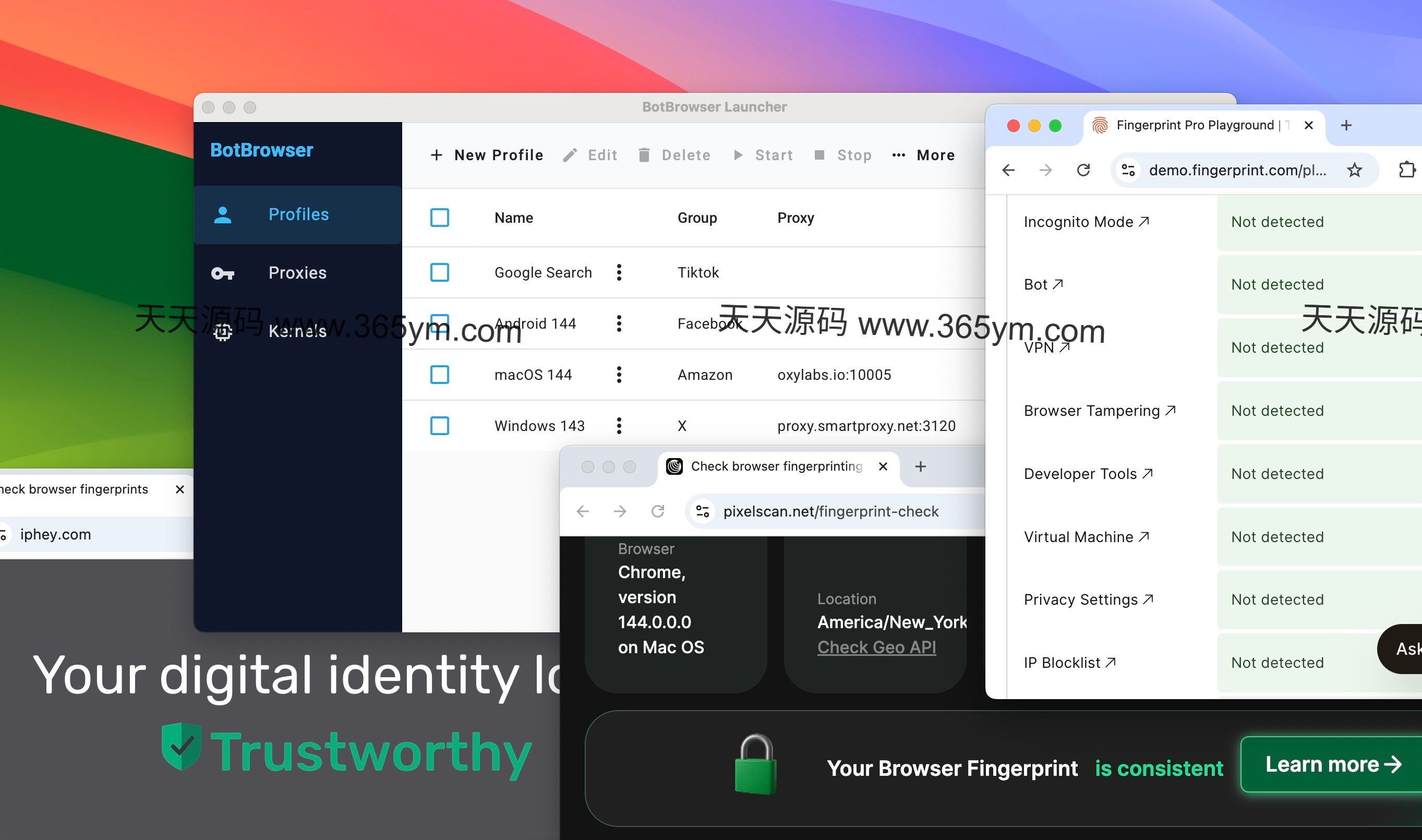 BotBrowser 无痕浏览器 - 多账号矩阵管理工具