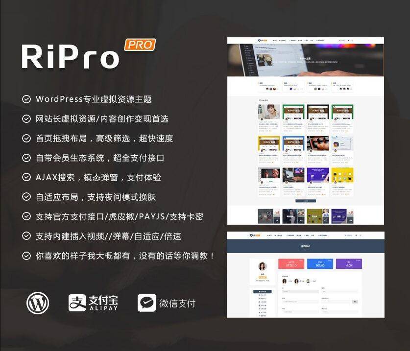 RiPro主题V8.7 WordPress资源付费站源码 图片3