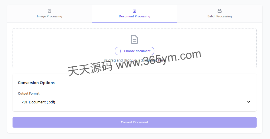 Docker 部署的开源文档图像转换工具 图片2